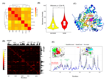 **Figure 4.** CYP17A1 quantitatively characterizes protein channel dynamics based on DRN and PRS analysis. (A) Pearson correlation clustering based on the shortest path of the residue network between different CYP17A1 systems; (B) Comparison of betweenness centrality of the network between channel and non-channel residues in all CYP17A1 systems; (C) Combining betweenness to AER Structure diagram of system residues stained; (D) PRS heat map of AER binding system; (E) allosteric response distribution of residues, where the peak value is used to predict allosteric sites.