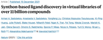 Nature | Synthon-based ligand discovery in virtual libraries of over 11 billion compounds